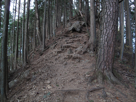 20171116hike (282)